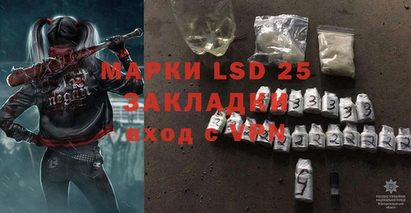 шишки Алзамай