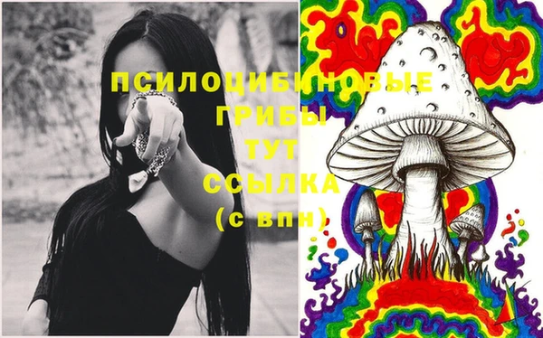шишки Алзамай