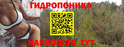 MDMA Краснознаменск