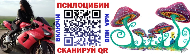 Галлюциногенные грибы Psilocybe omg ссылка Красногорск