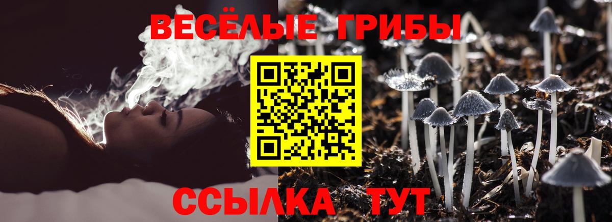 Красногорск  Галлюциногенные грибы Magic Shrooms  Вход с VPN 